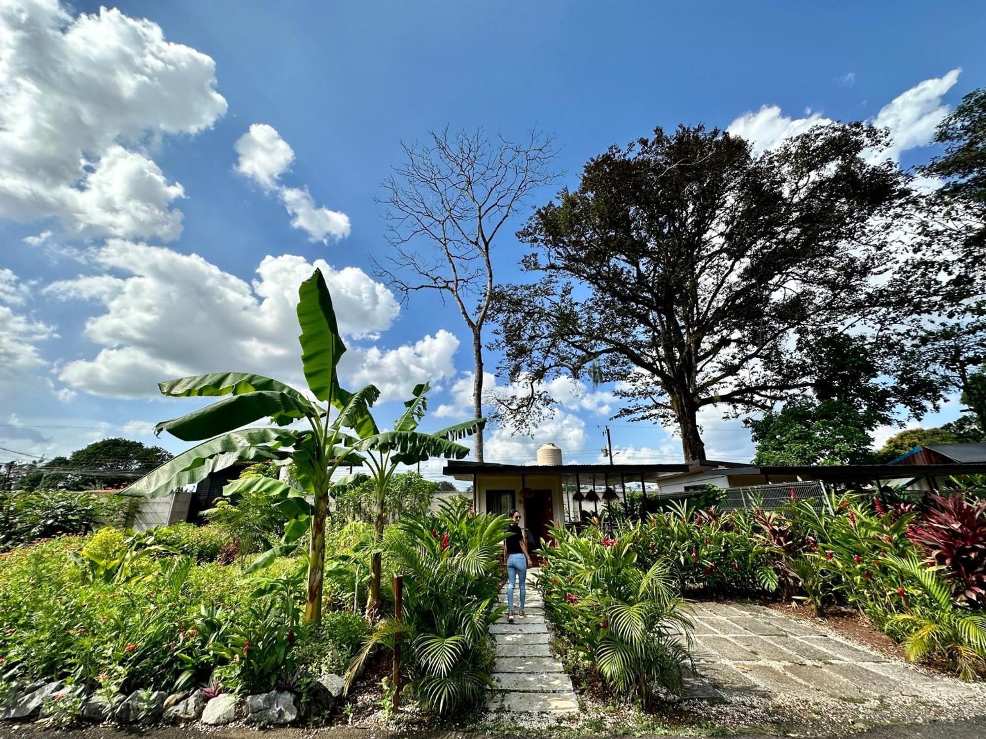 Almendros Eco-Villas La Fortuna Exteriör bild