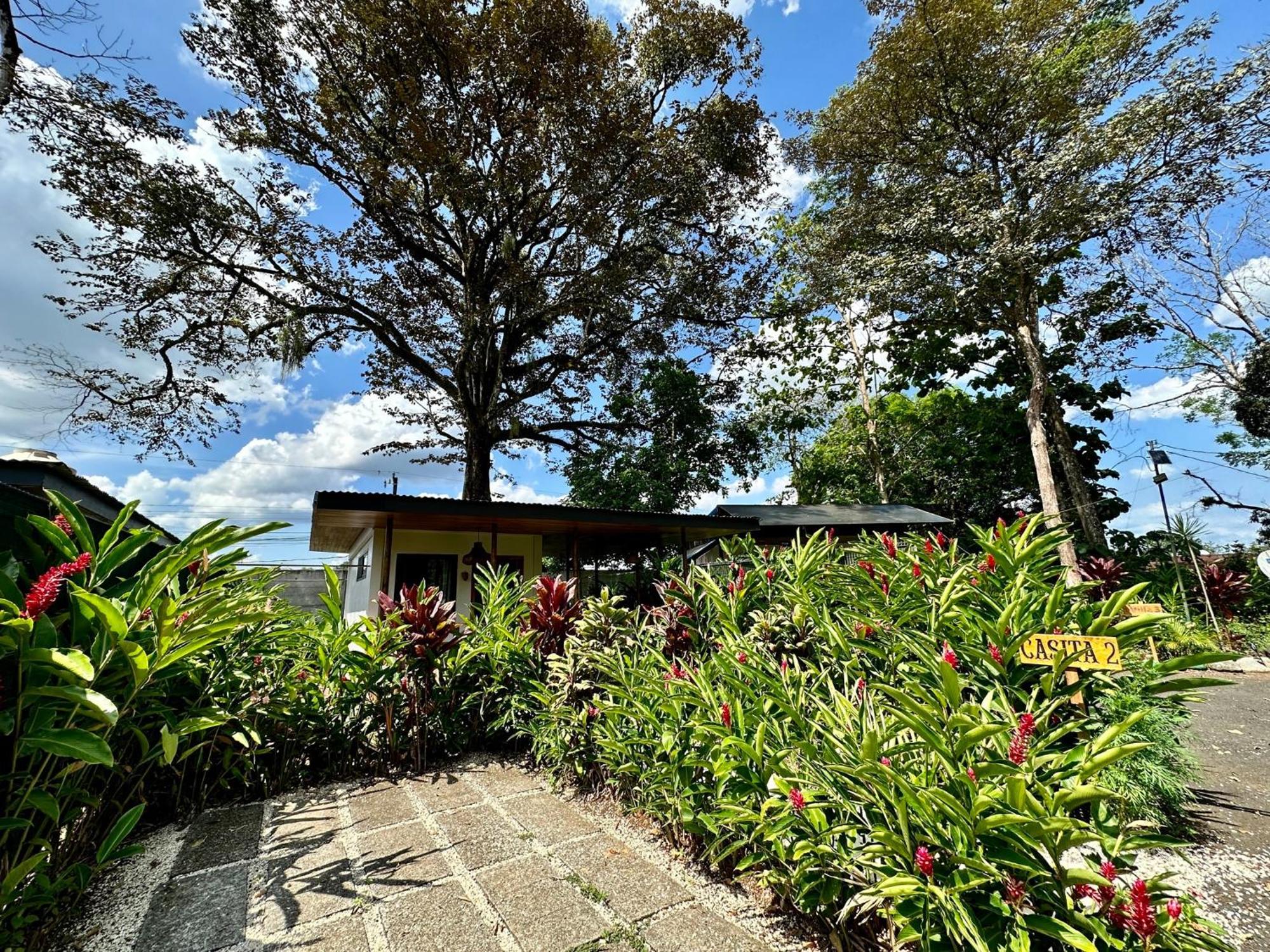 Almendros Eco-Villas La Fortuna Exteriör bild