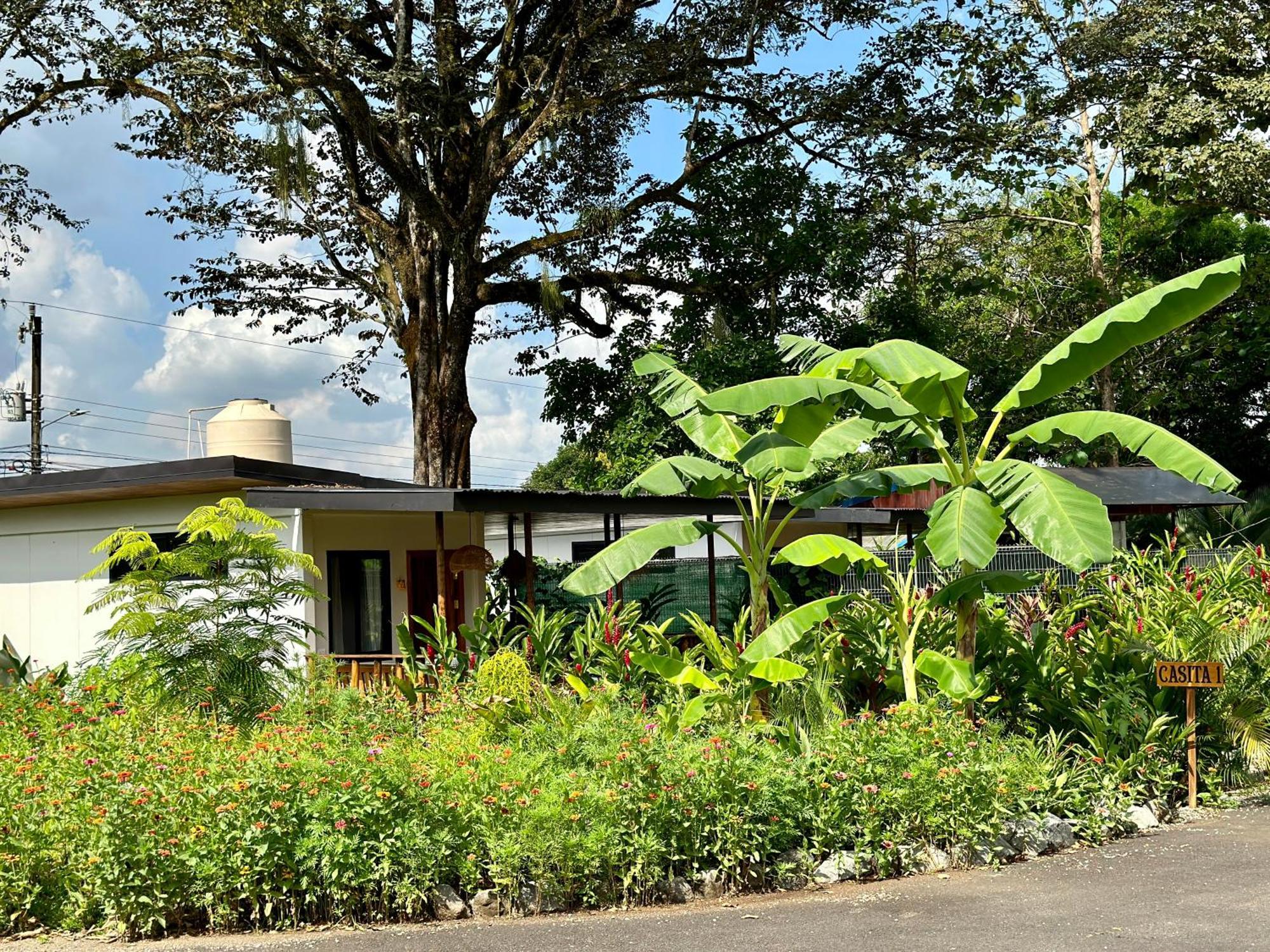 Almendros Eco-Villas La Fortuna Exteriör bild