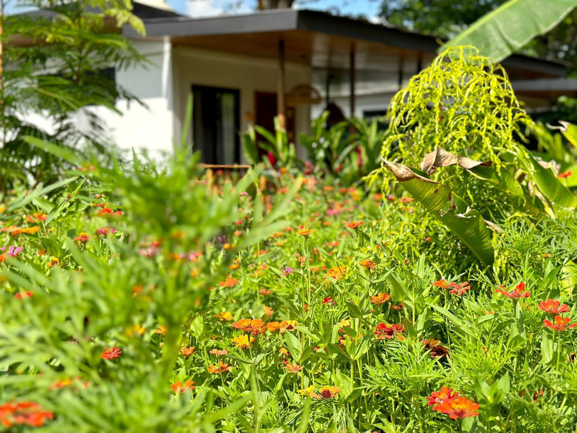 Almendros Eco-Villas La Fortuna Exteriör bild