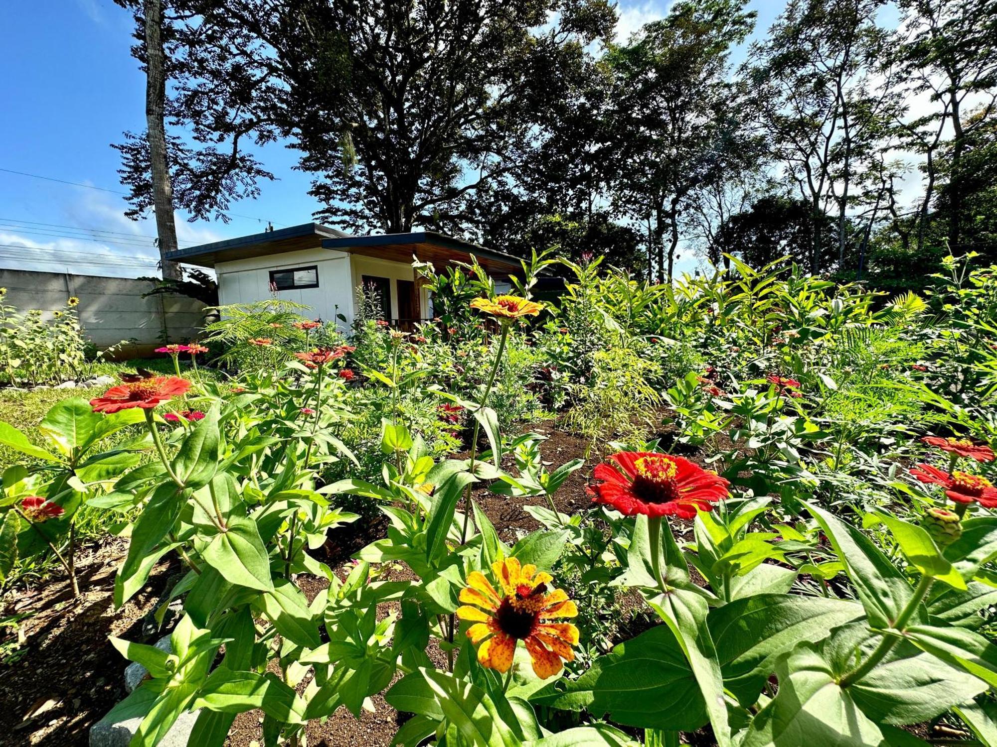Almendros Eco-Villas La Fortuna Exteriör bild